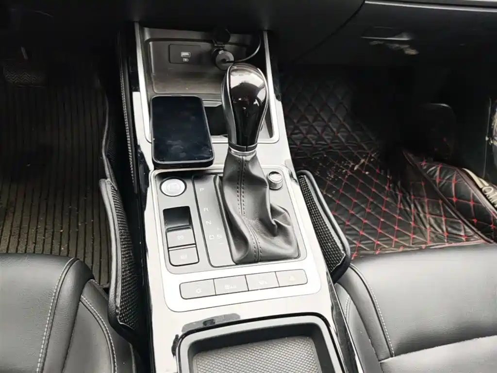 BYD Qin 2019 1.5L Automatic Luxury Edition фото 14
