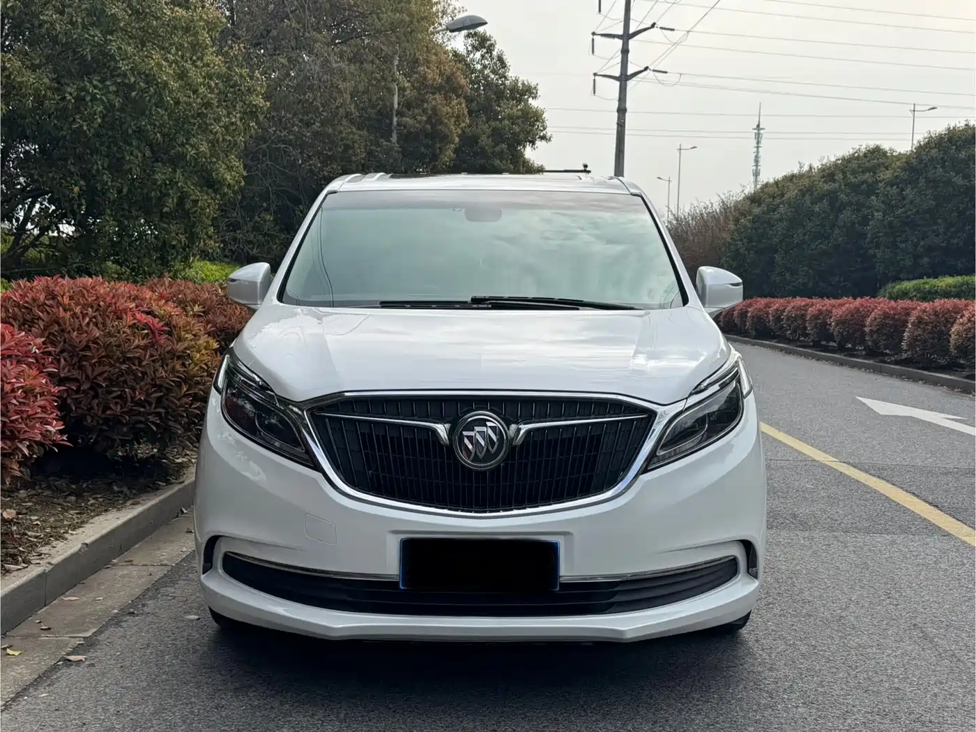 Buick GL8 2018 ES 28T Luxury Type China VI фото 2