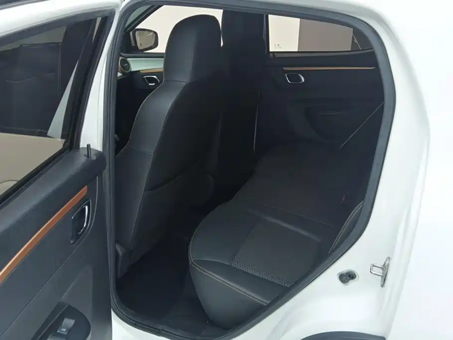 Photo 11 - Dongfeng Yipai Dongfeng Nano EX1