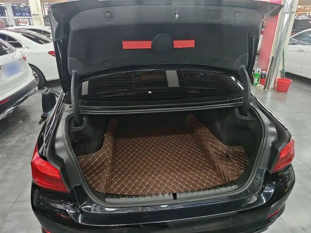 BMW 5 Series 2018 528Li Launch Special Edition фото 19