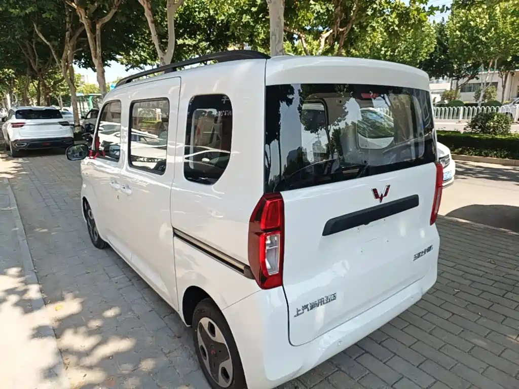Wuling Motors Wuling Zhiguang NEV 2026 2025 Model 305km Base Version