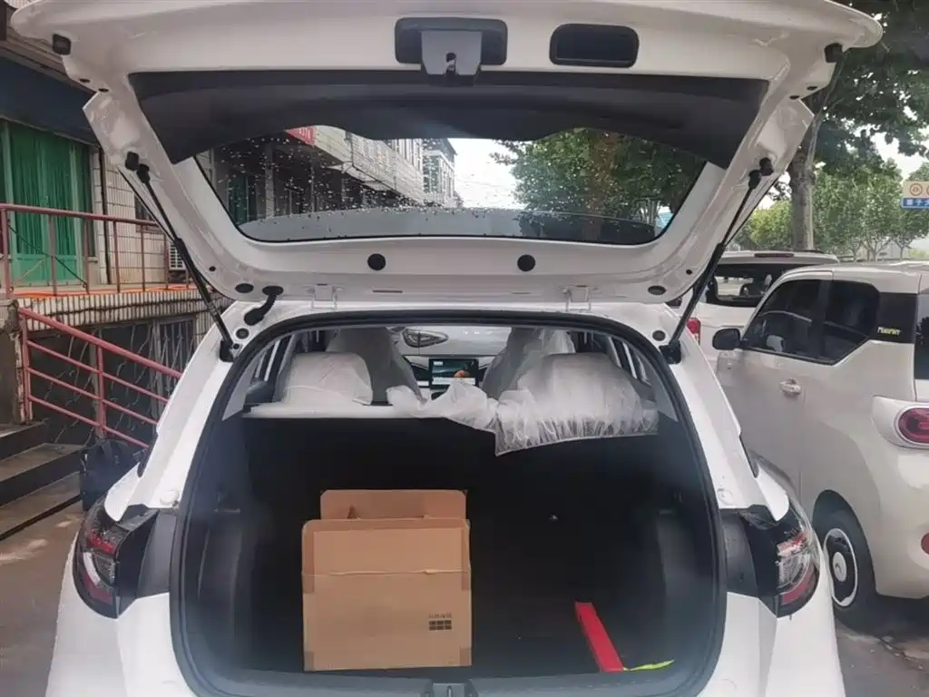 Geely Galaxy Starry Wish 2026 Edition 310km Youth Version фото 19