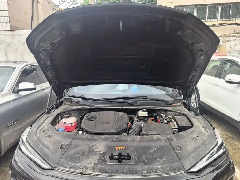 Geely Galaxy Galaxy Xingyao 8 2025 Model 130km EM-i Flagship Edition фото 20
