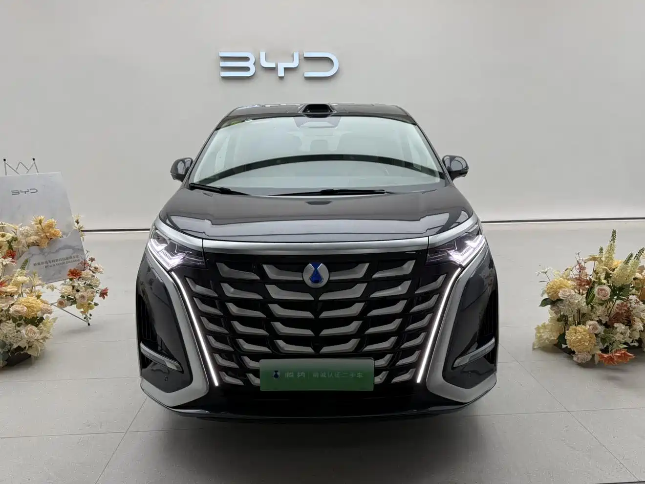 2026 Denza D9