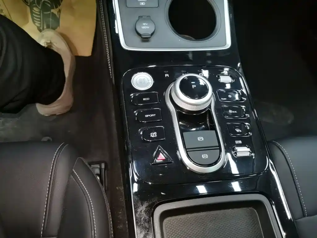 BYD Qin New Energy 2019 Travel Standard Edition фото 14