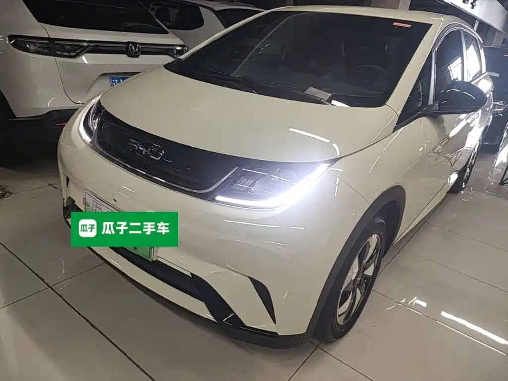 2026 BYD Dolphin
