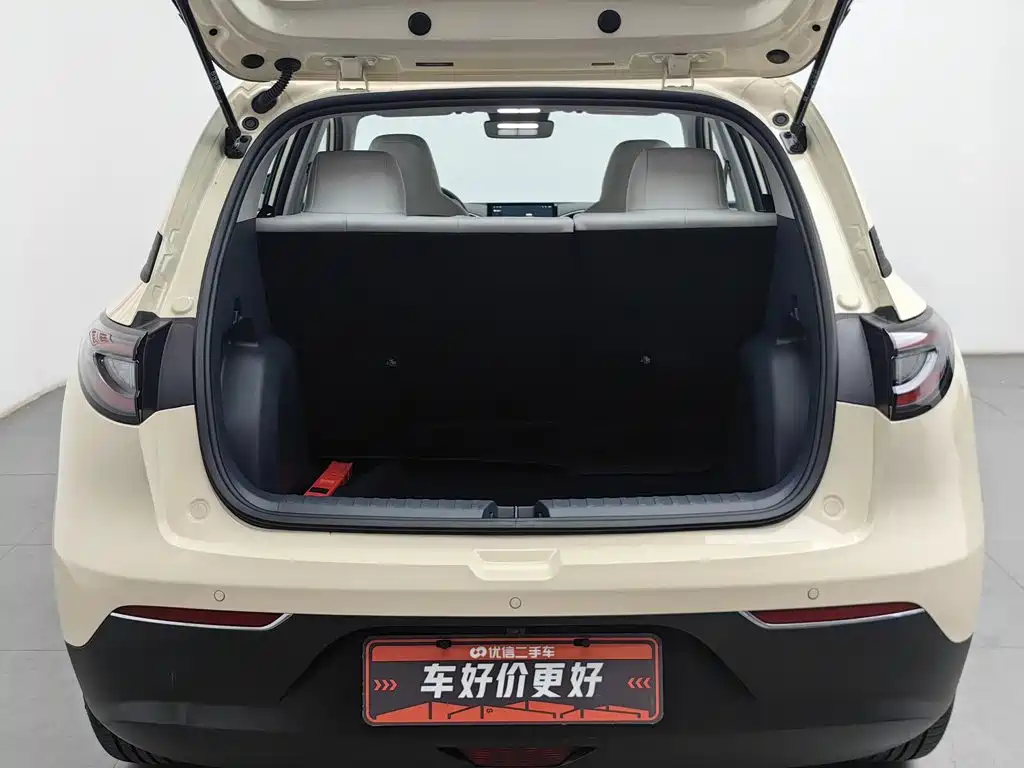 Geely Galaxy Starry Wish 2026 2026 Edition 310km Youth Version