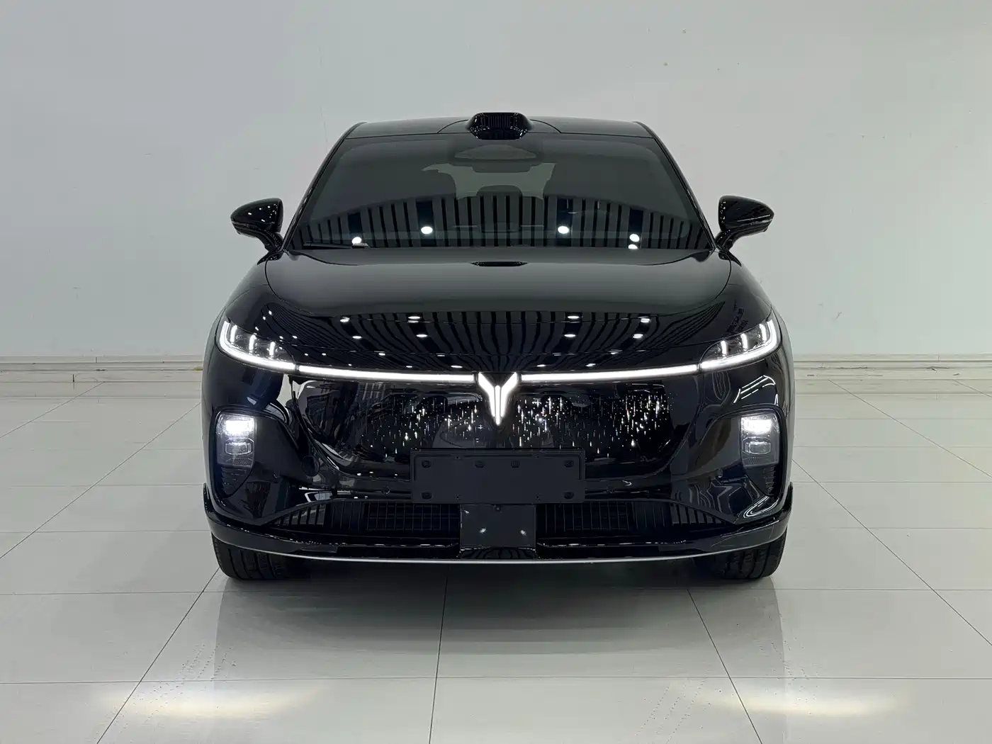 Voyah Auto Voyah Zhiyin 2025 Base фото 2