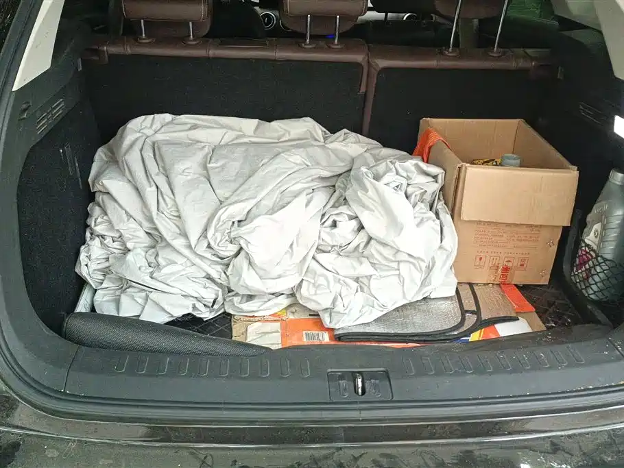 WEI PAI WEI BRAND VV6