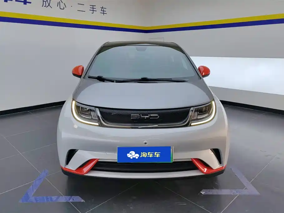 BYD Dolphin 2021 Model 405km Fashion Edition фото 2