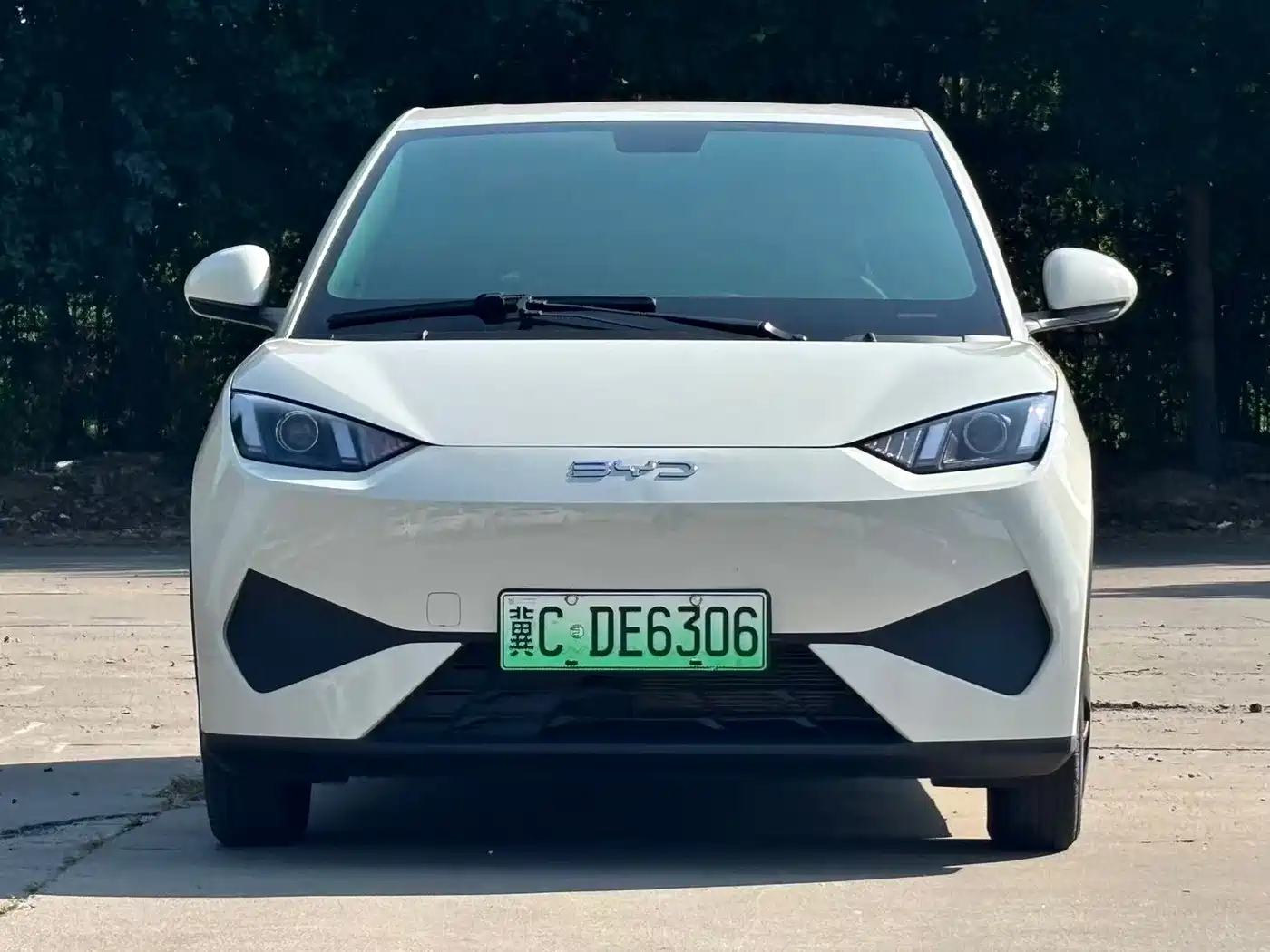 Photo 2 - BYD Seagull