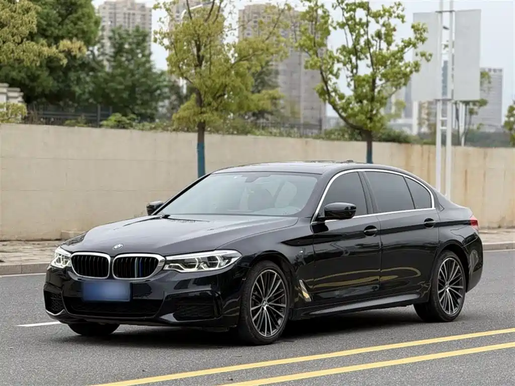 BMW 5 Series 2020 530Li Leading M Sport Package