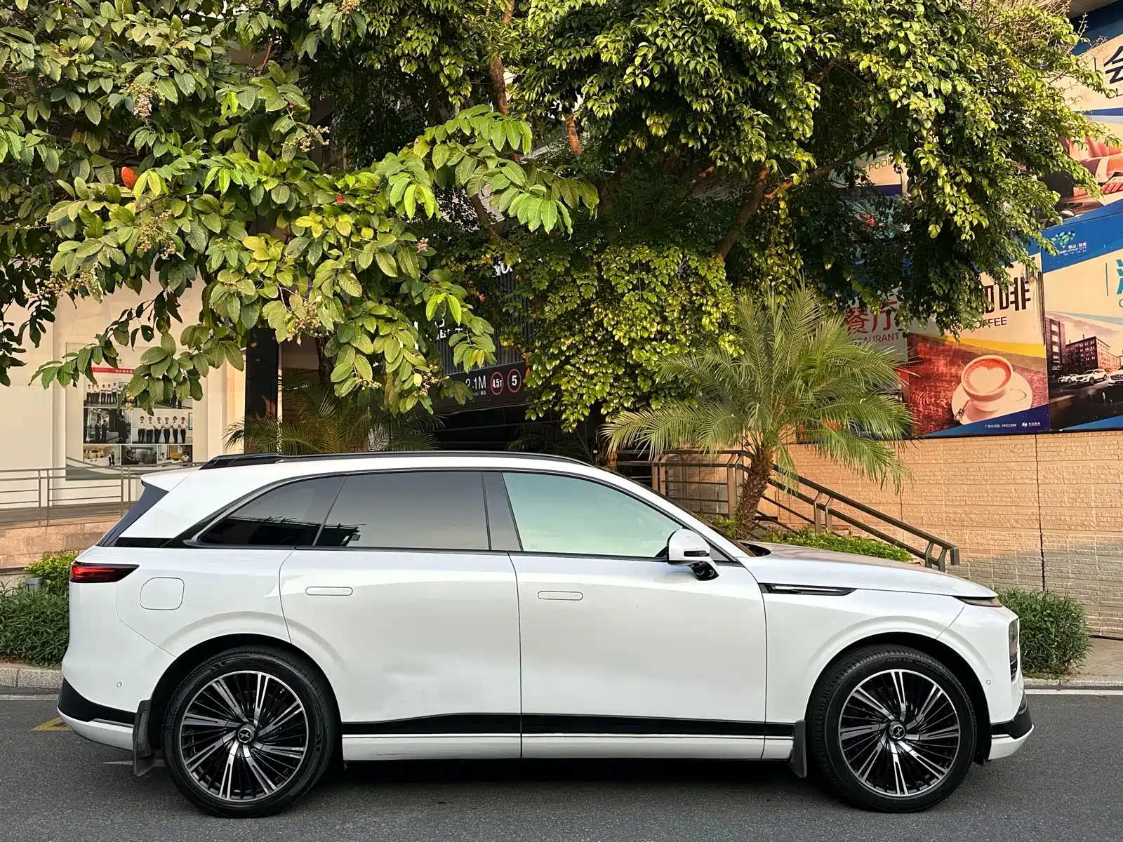 Фото 4 - XPeng G9