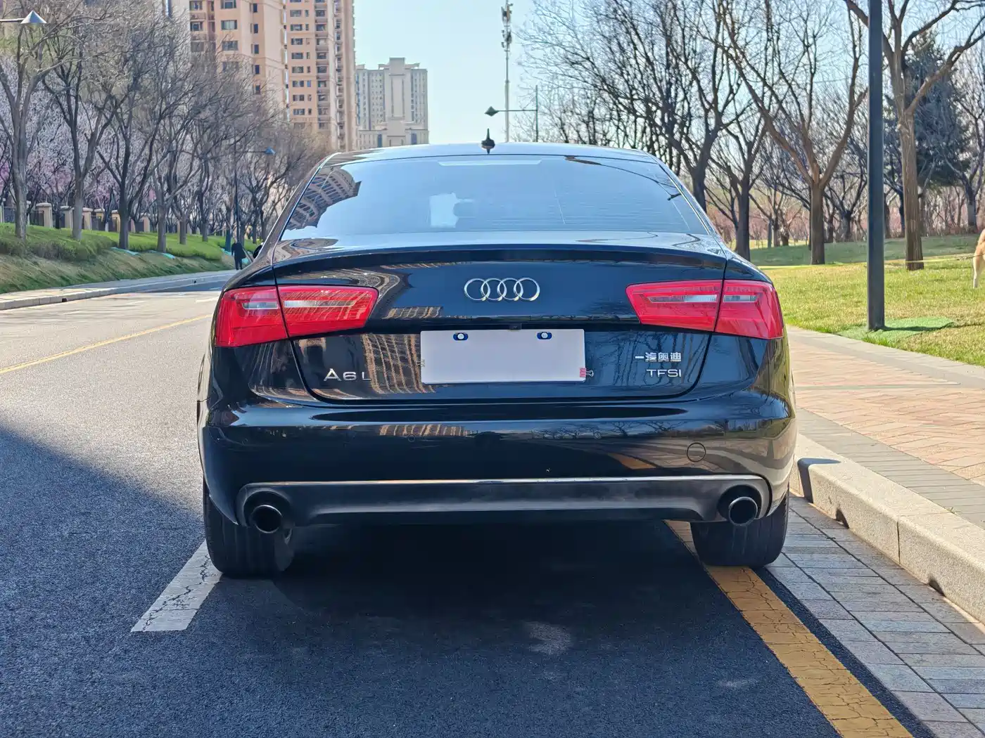 Audi A6L 2014 TFSI Standard фото 16