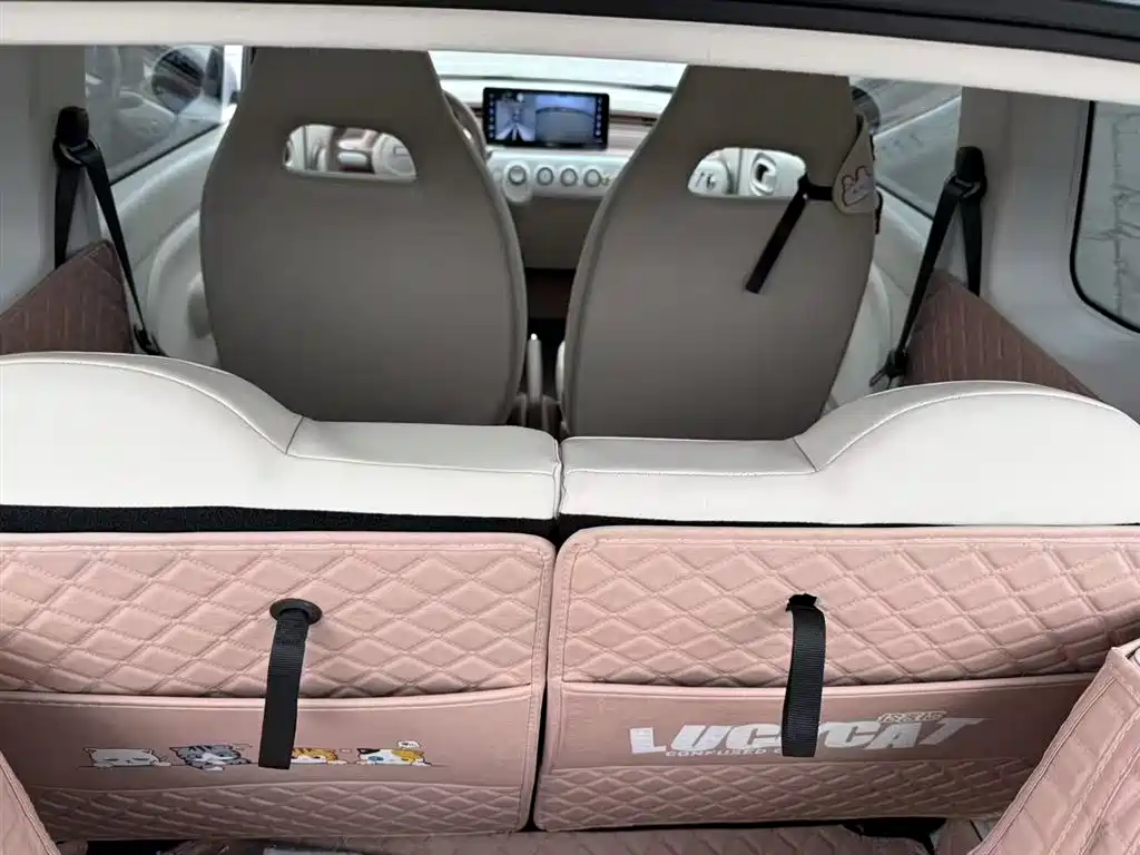 BESTUNE PENTIUM PONY