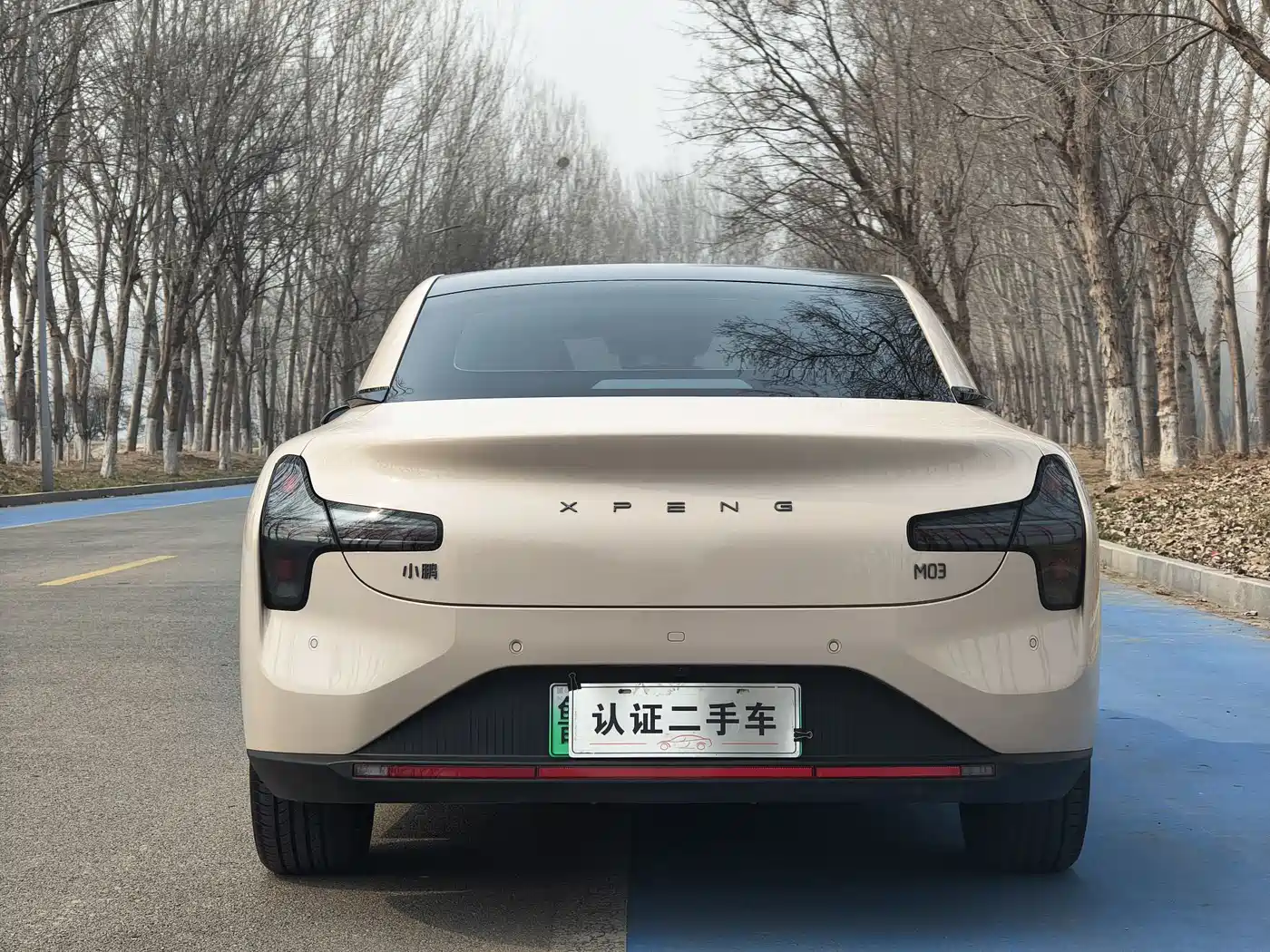 XIAOPENG MONA M03