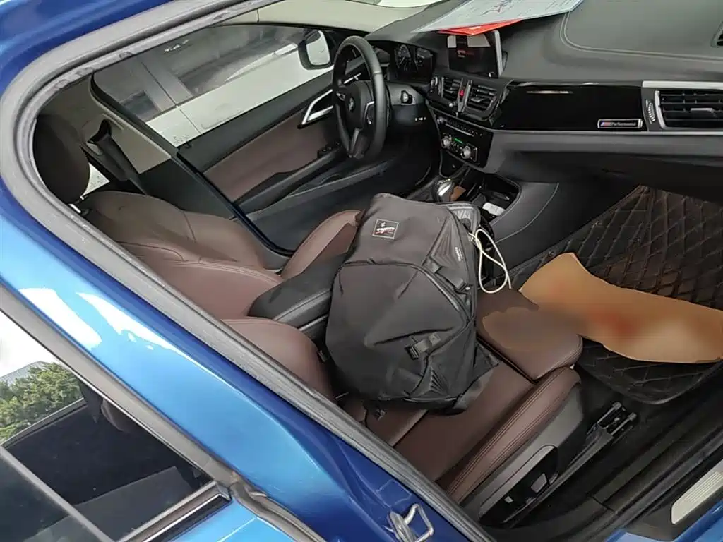 BMW 1 Series 2019 120i Leading M Sport Package фото 25