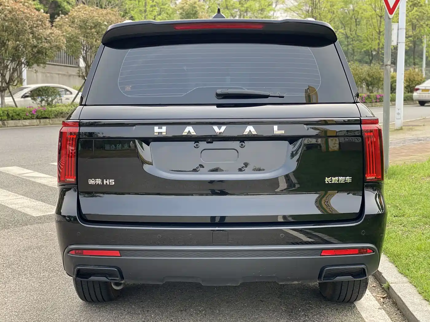 Haval H5 2025 2.0T Auto 4WD Elite Edition (Diesel) фото 6