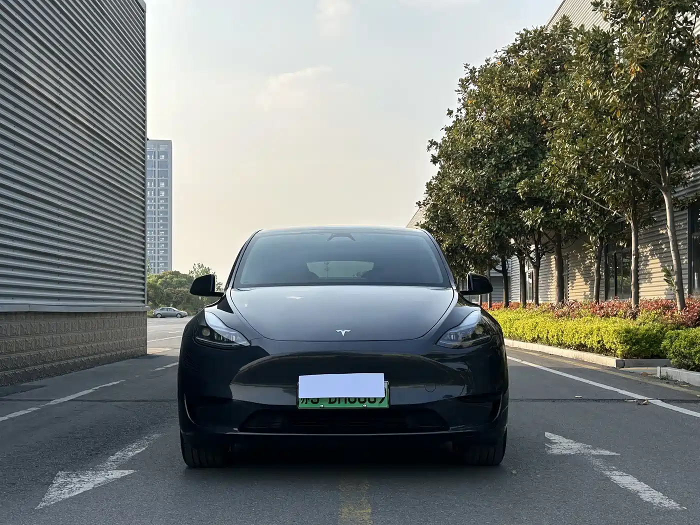 Фото 3 - Tesla Model Y