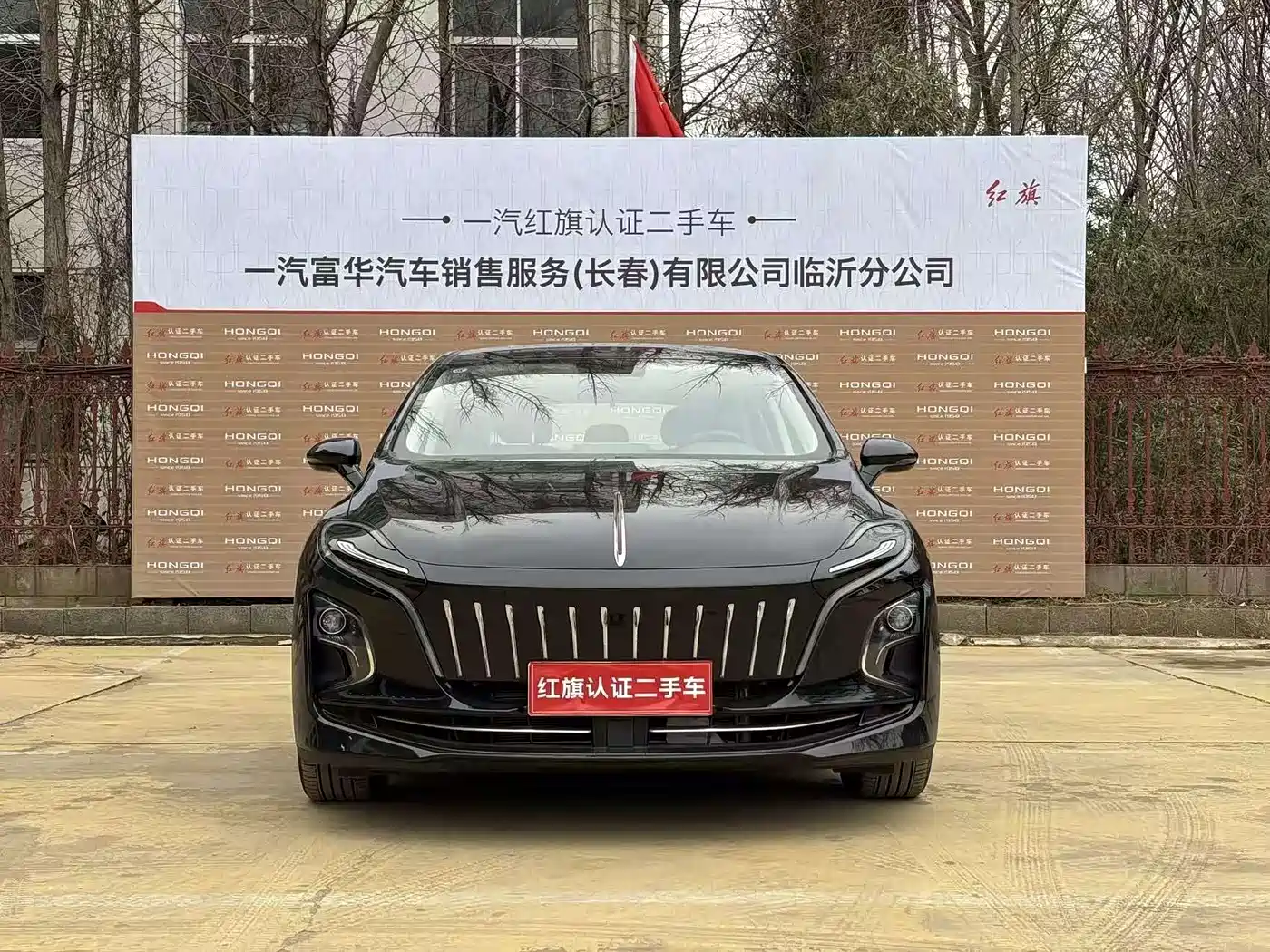 Hongqi E-QM5 2024 560km PLUS фото 2