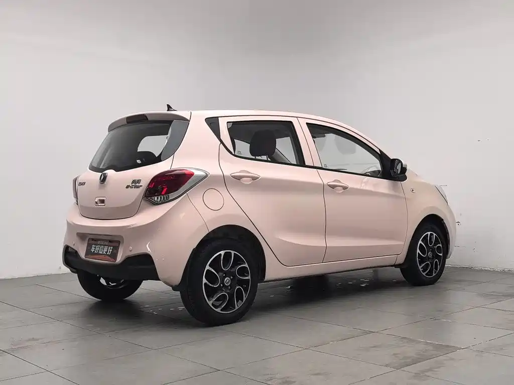 Фото 2 - Changan Benben E-Star