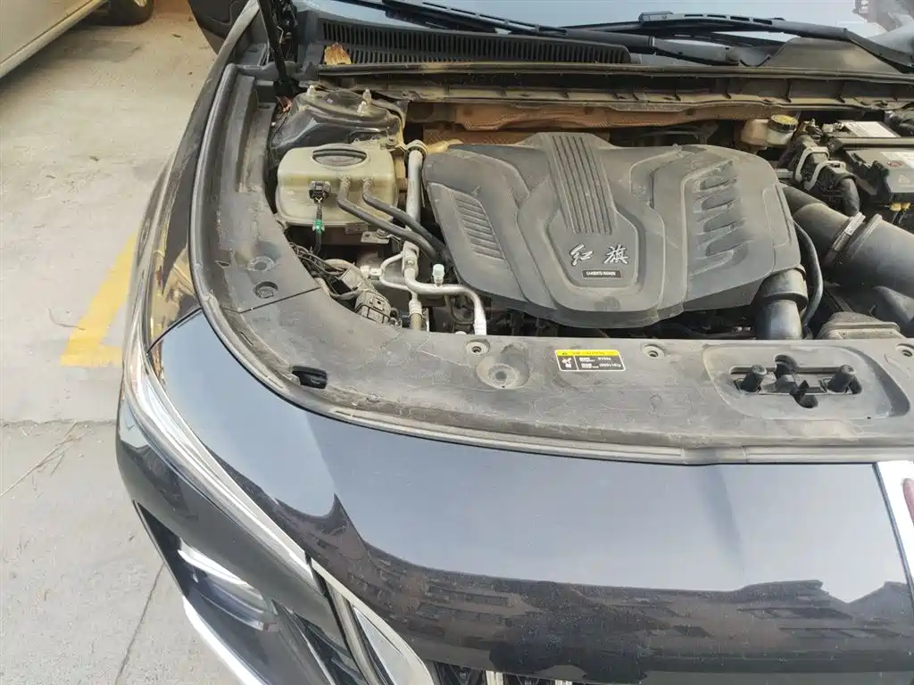 Hongqi H5 2023 1.5T DCT Smart Connect Flag Rhythm фото 21