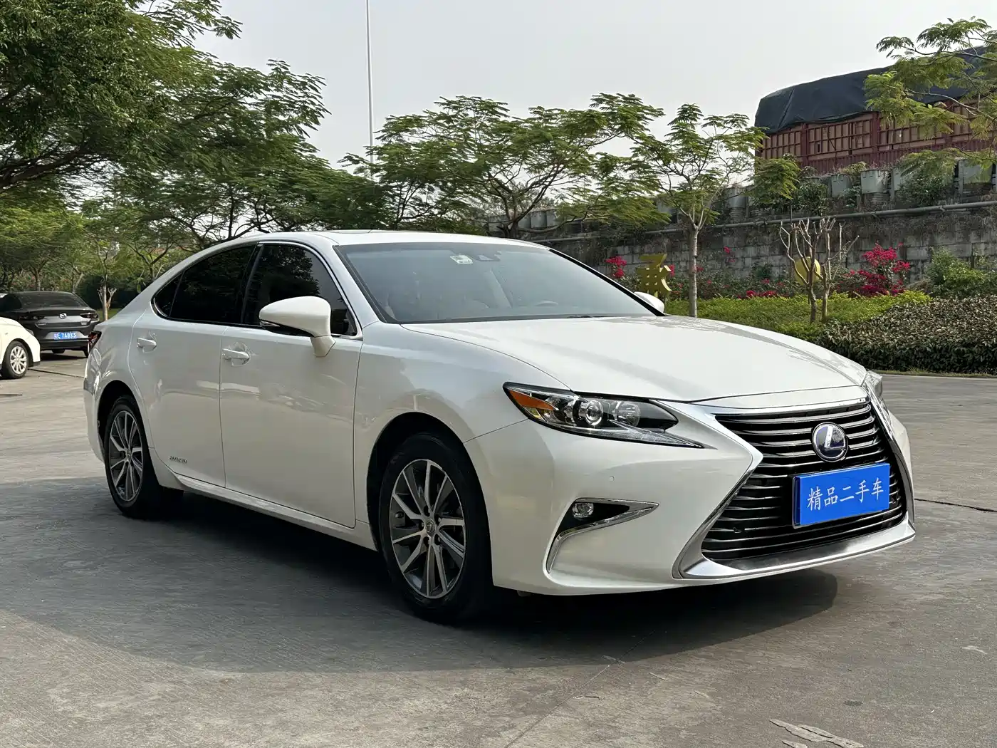 Lexus ES 2015 300h Comfort Edition фото 3