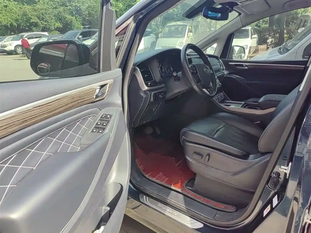 GAC Trumpchi Trumpchi M8 2020 Pilot 390T Prestige Edition фото 16