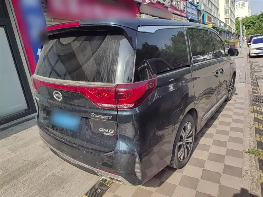 GAC Trumpchi Trumpchi M8 2020 Pilot 390T Prestige Edition фото 7