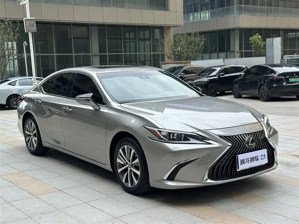 Lexus ES 2020 Model 260 Excellence Edition фото 11