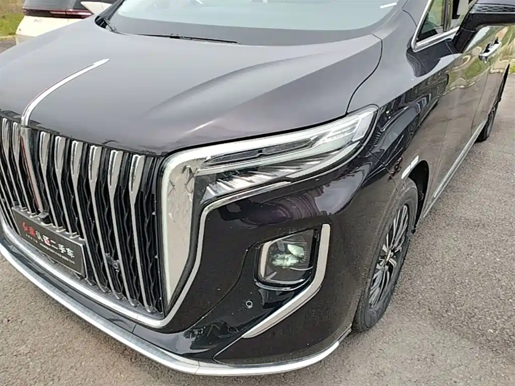 Hongqi HQ9 PHEV 2024 Model 2.0T AWD Business Edition фото 24