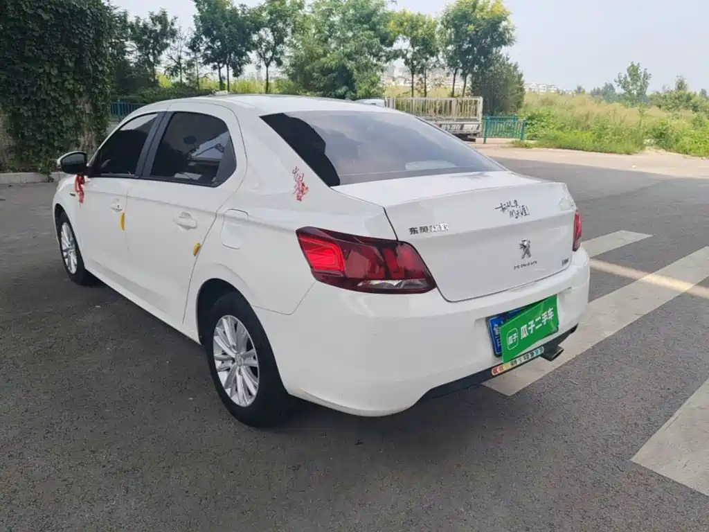 صورة 5 - Peugeot 301