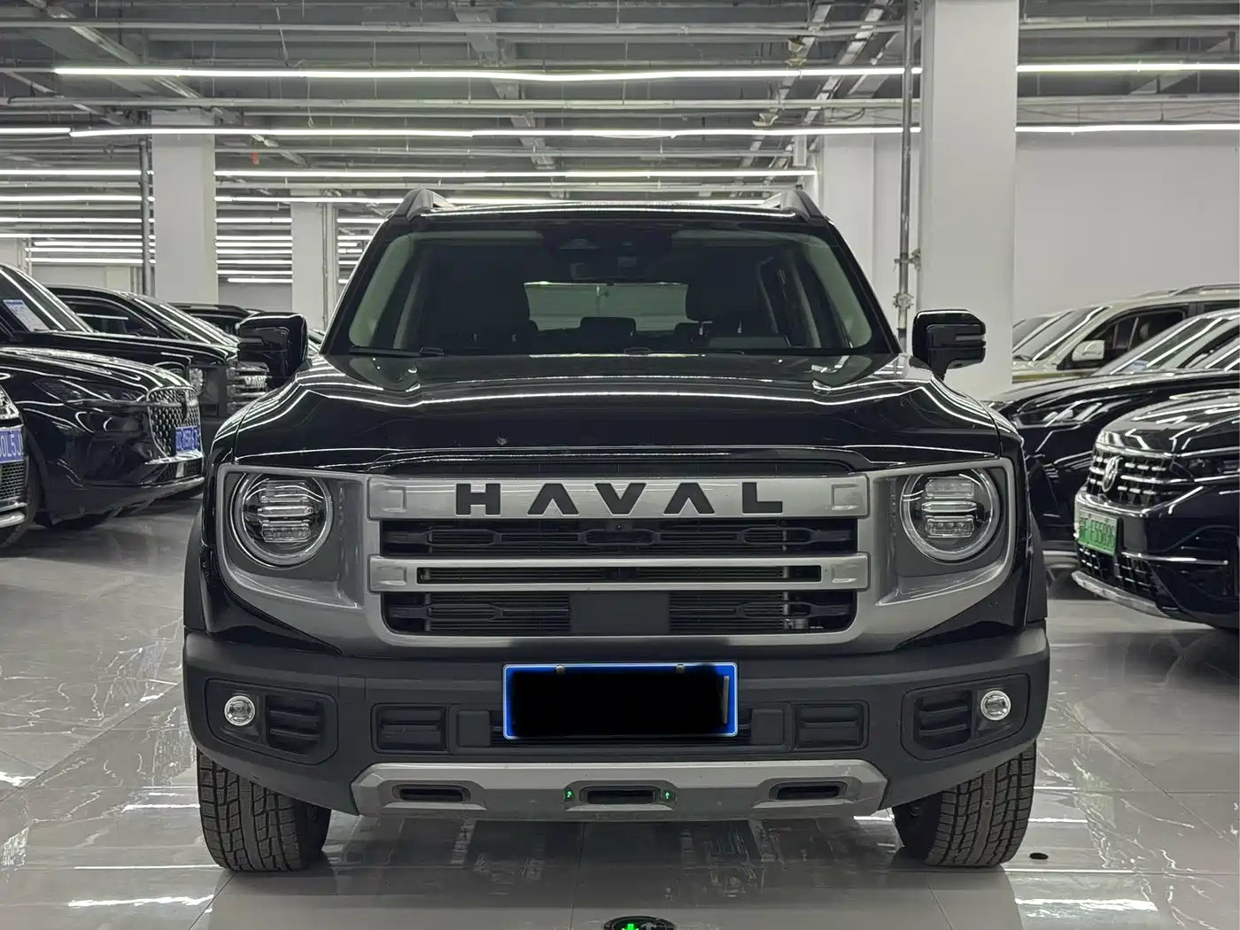 Haval Big Dog 2024 1.5T DCT Border Collie Edition