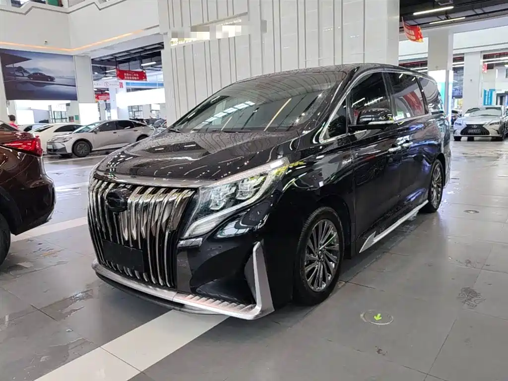GAC Trumpchi Trumpchi M8 2021 Master Series 390T Ultimate Edition фото 2
