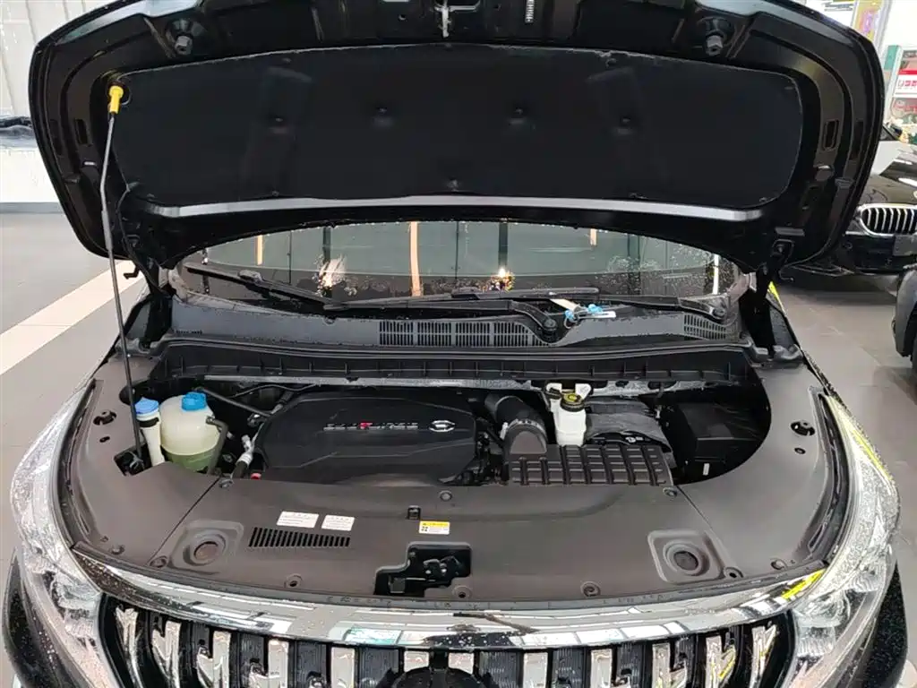 GAC Trumpchi Trumpchi M8 2021 Master Series 390T Ultimate Edition фото 20
