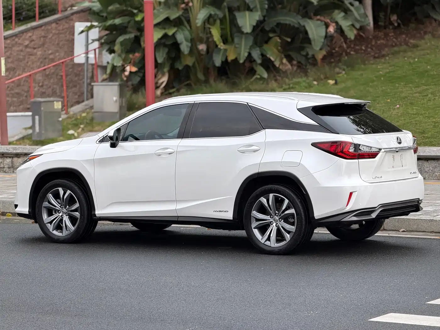LEXUS RX