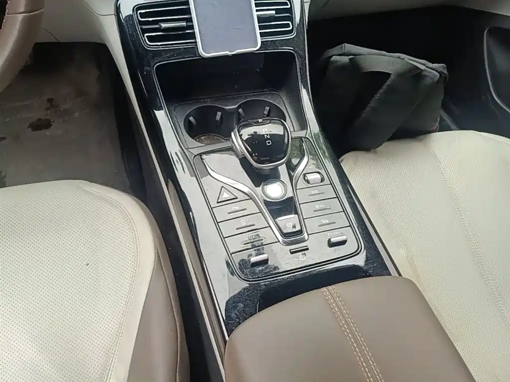 BYD Qin PLUS 2024 Glory Edition DM-i 55KM Leading фото 14