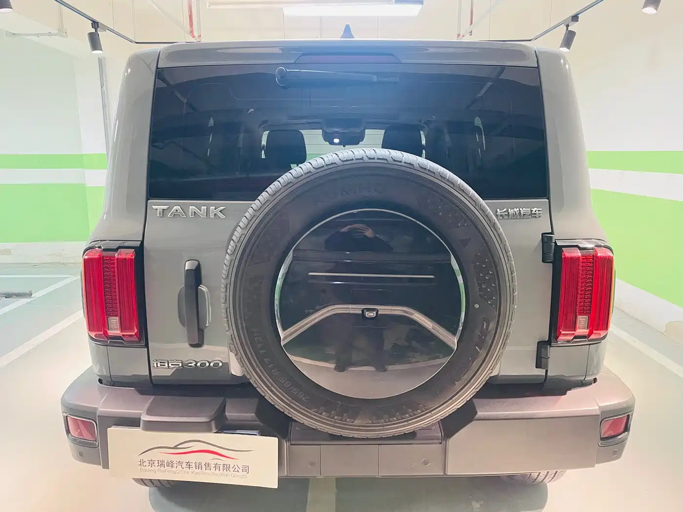 Tank 300 2023 Off-Road Edition 2.0T Conqueror фото 31