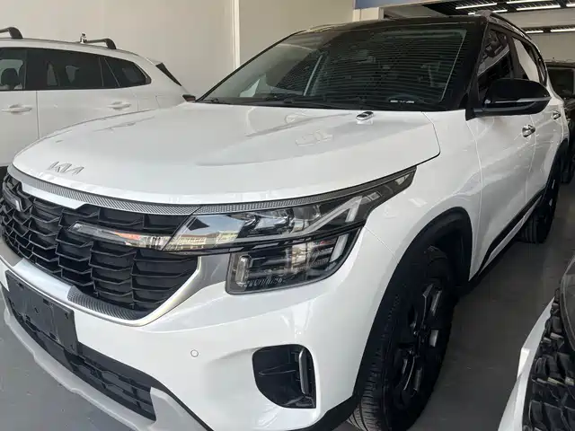 kia setus