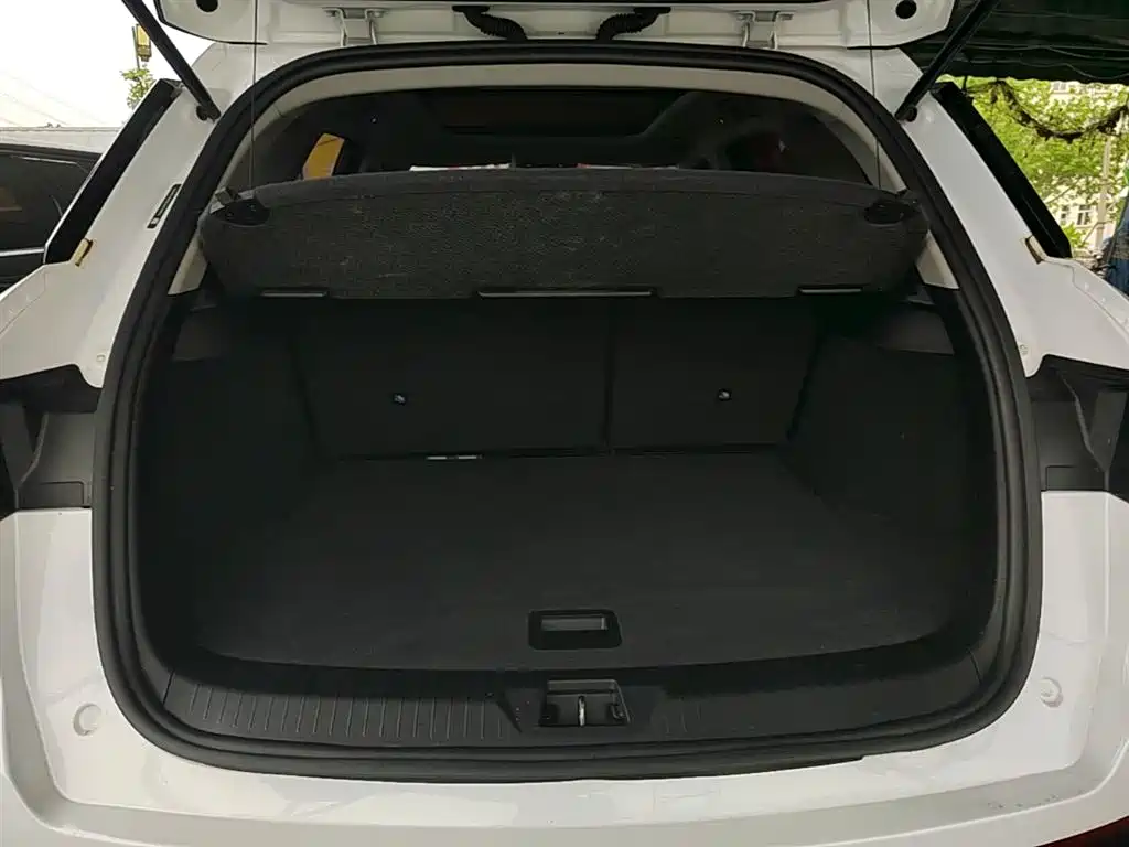 BYD Song Pro 2019 1.5T Automatic Luxury фото 19