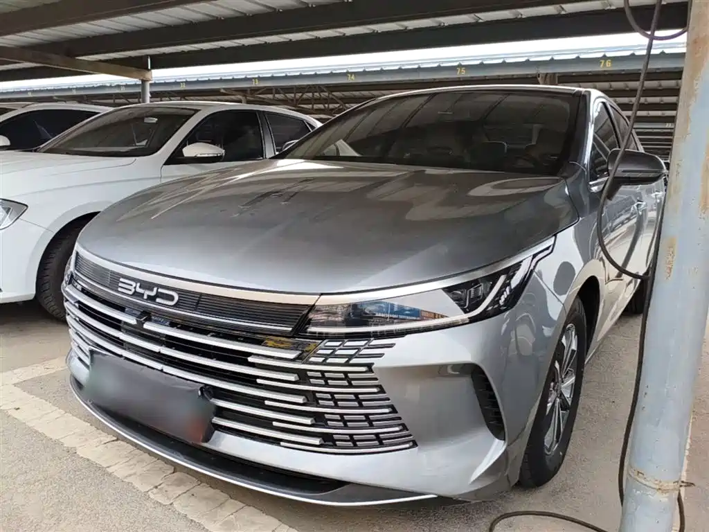 BYD Destroyer 05 2024 Glory Edition DM-i 55KM Luxury фото 2