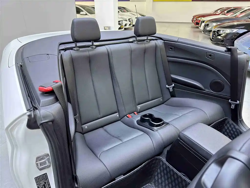 BMW 2 Series (Import) 2015 218i Convertible Coupe фото 10