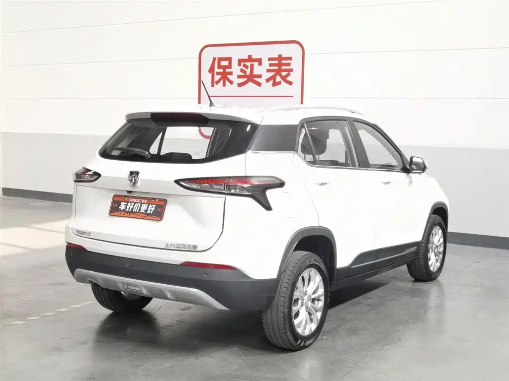 BAOJUN 510