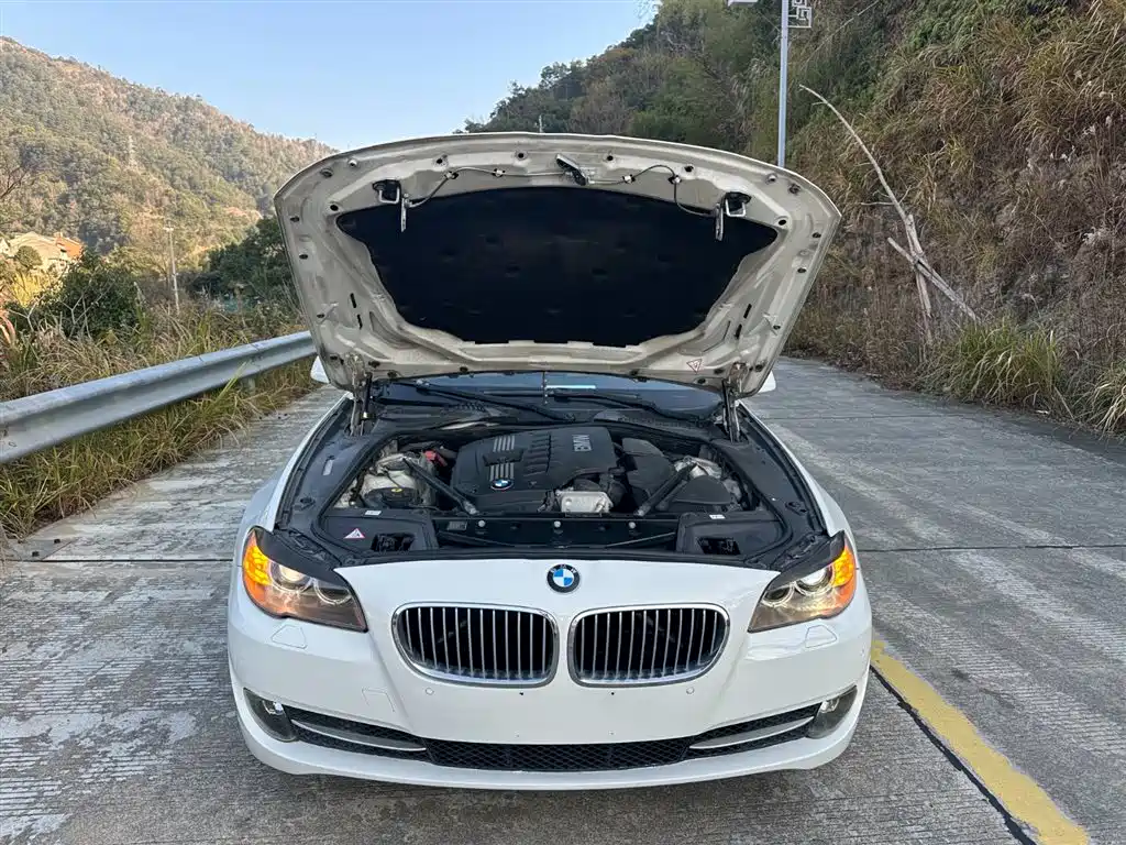 BMW 5 Series 2012 523Li Luxury фото 12