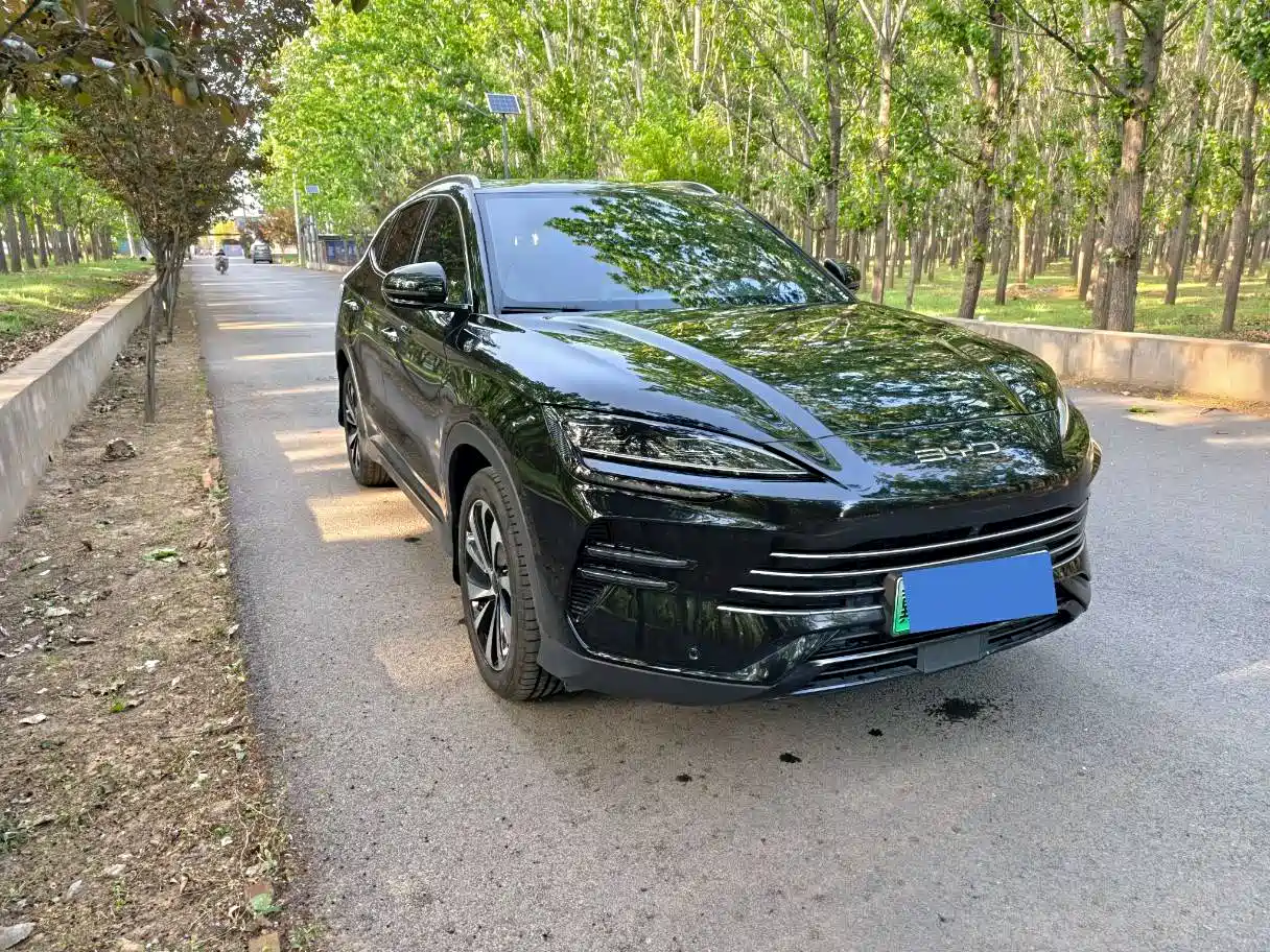 BYD Song PLUS PHEV 2024 Glory Edition DM-i 110km Flagship фото 3