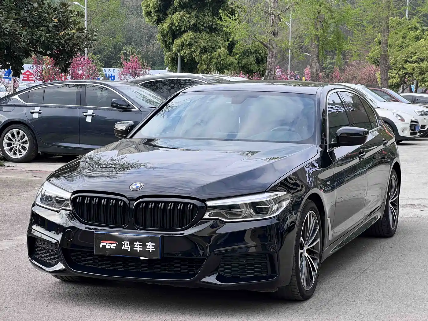 BMW 5 Series 2020 530Li Leading M Sport Package фото 2