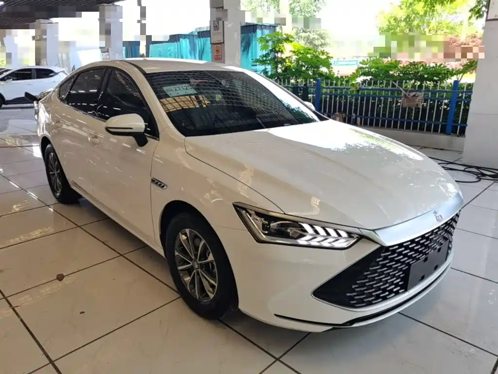 BYD Qin PLUS 2024 Glory Edition DM-i 55KM Leading фото 4