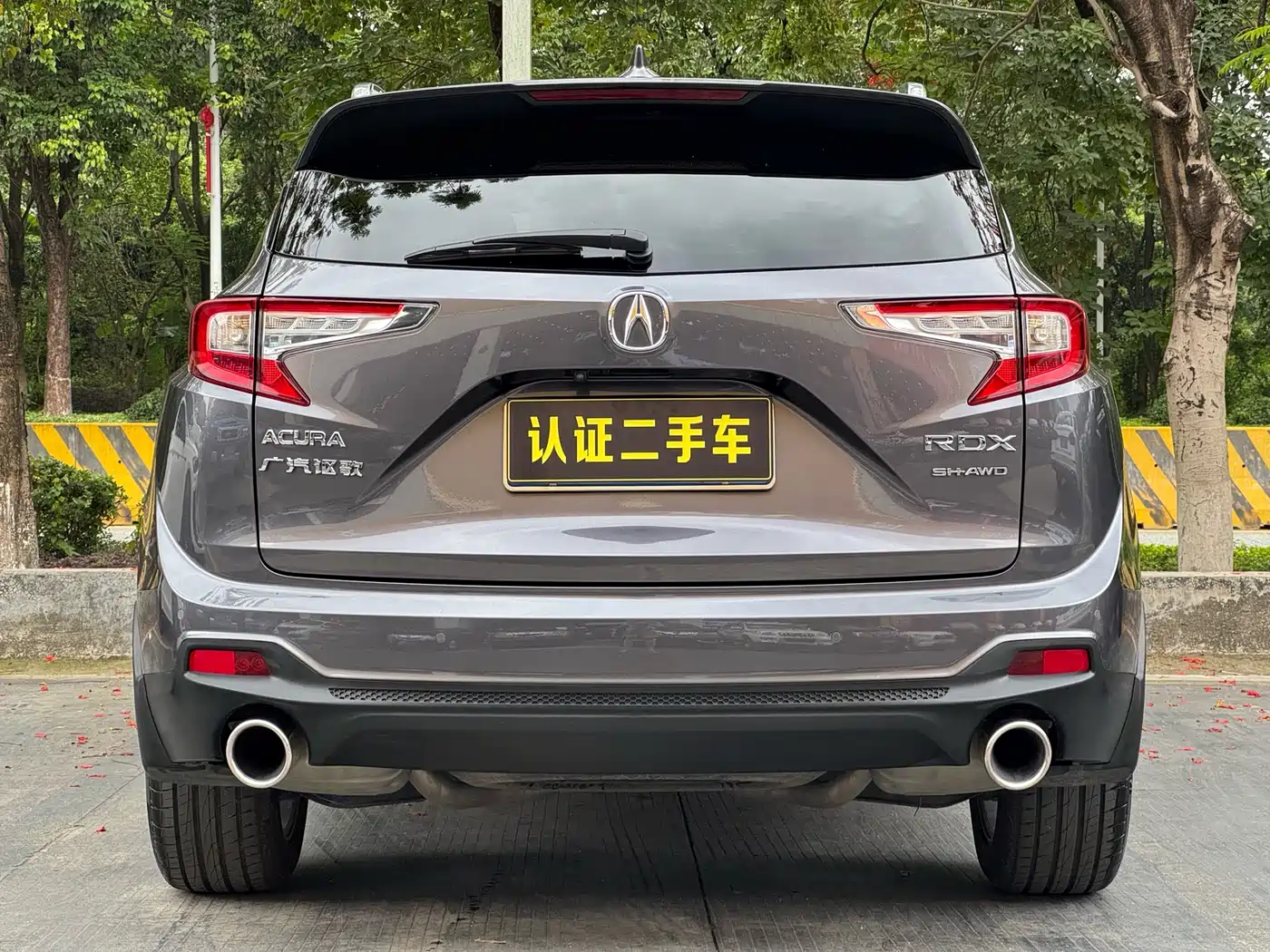 Acura RDX 2019 2019 2.0T Diamond Edition SH-AWD China V