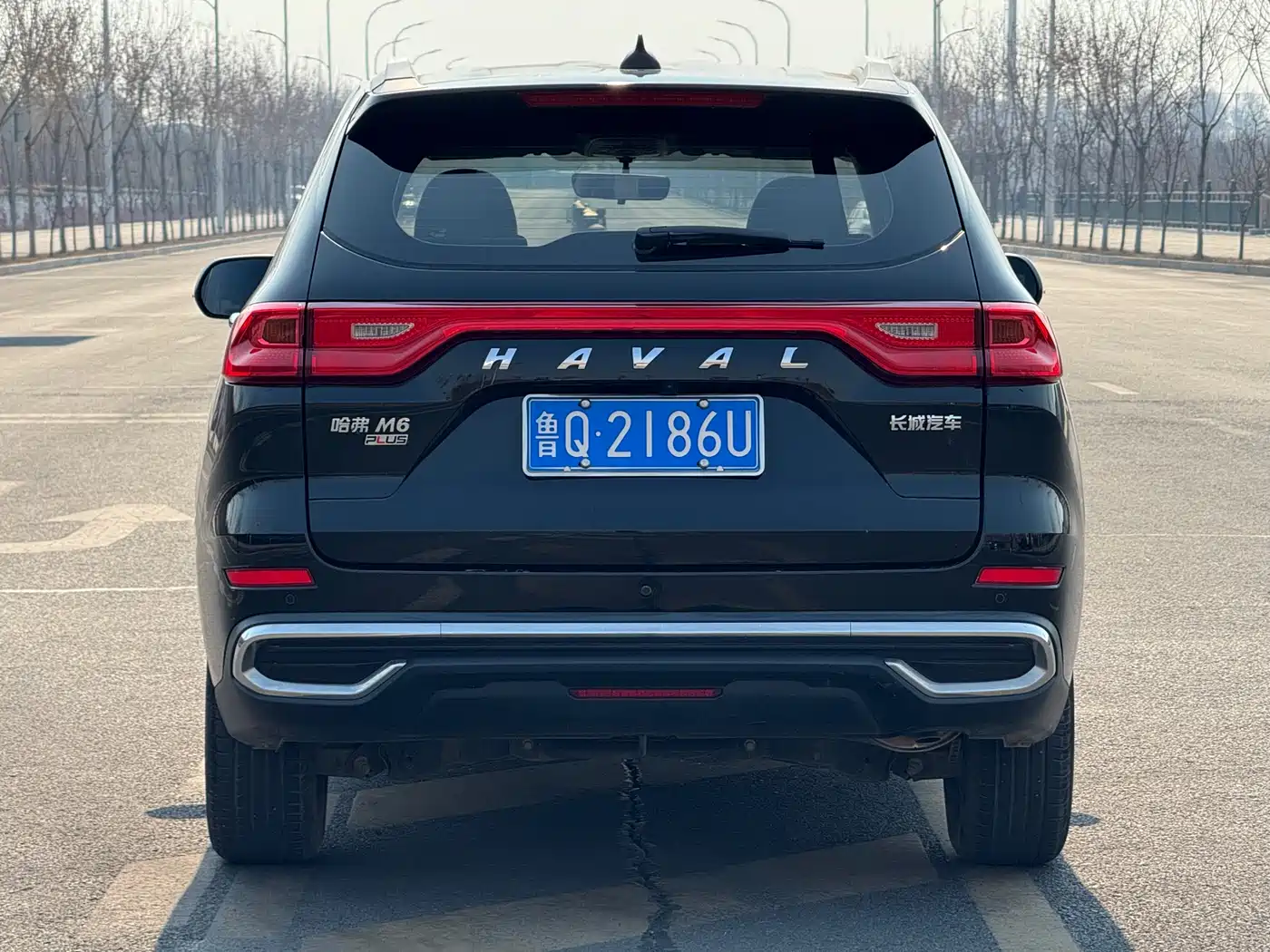 HAVAL M6
