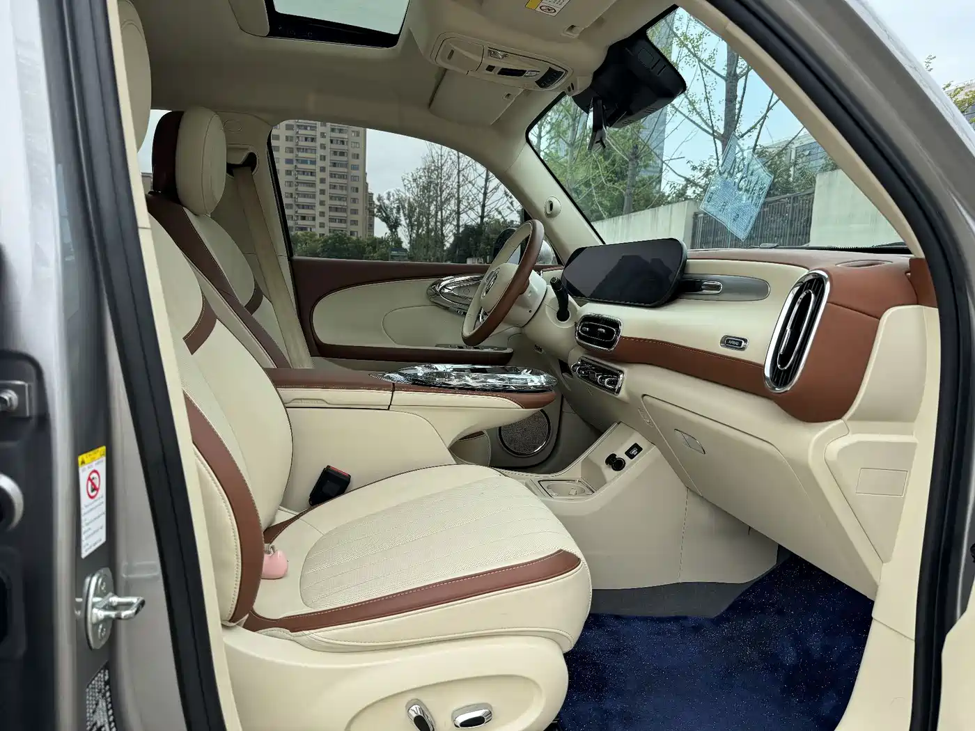 Ora Ballet Cat 2023 2023 401km Premium Model